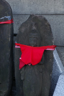 IMGP8610.JPG