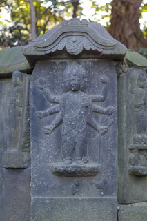 IMGP8664.JPG