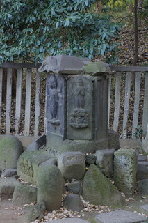 IMGP8674.JPG